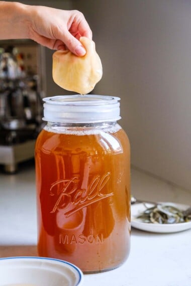 Making homemade Kombucha is a fun adventure, and it's even easier than you think! Just follow our simple steps-no fancy gadgets needed!